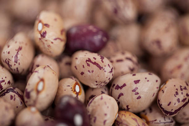 Top 10 Bean Suppliers in Spain in Year 2025: A Data-Driven Guide for Global Buyers