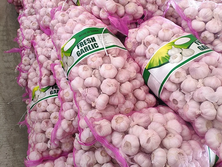 High Quality 2026 Fresh Garlic Chinese Origin Normal White Garlic Bulk Export to Worldwide