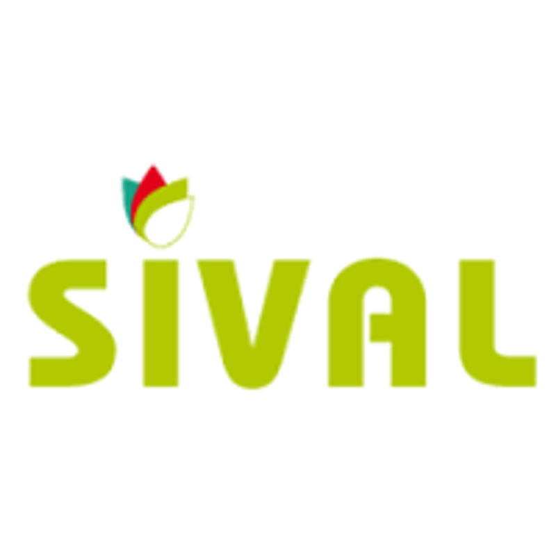 SIVAL Expo Spotlight: B2B Essentials