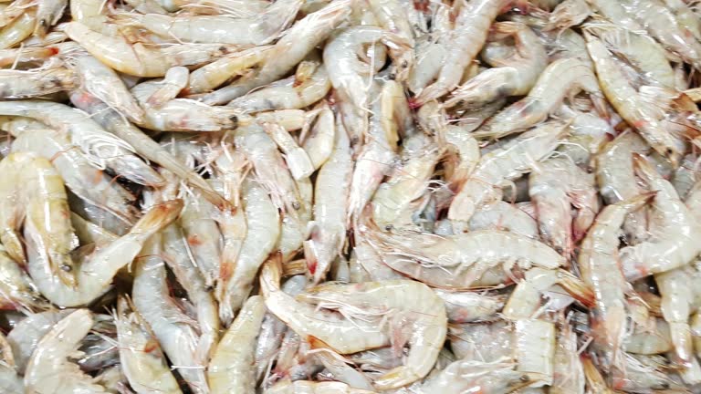 Shrimp Market Update: Top 3 Shrimp Suppliers in Spain in July 2025