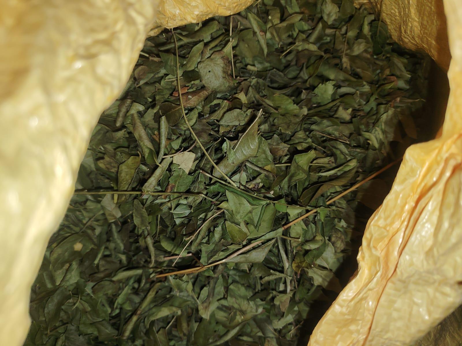 Top 7 Herbs suppliers in India — 7 Capabilities Reviewed - 1