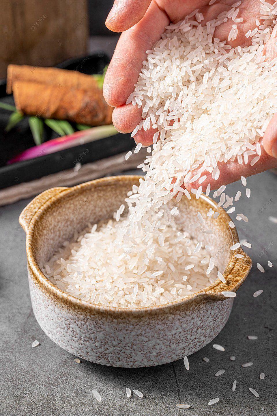 Premium Extra Long Grain Basmati Rice Grain Export Grade Wholesale Supplier for Global Importers