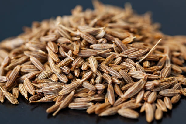 A Comprehensive Guide to Sourcing High-Quality Cumin Seeds: Top 6 Cumin Seeds Suppliers in Egypt in Year 2025