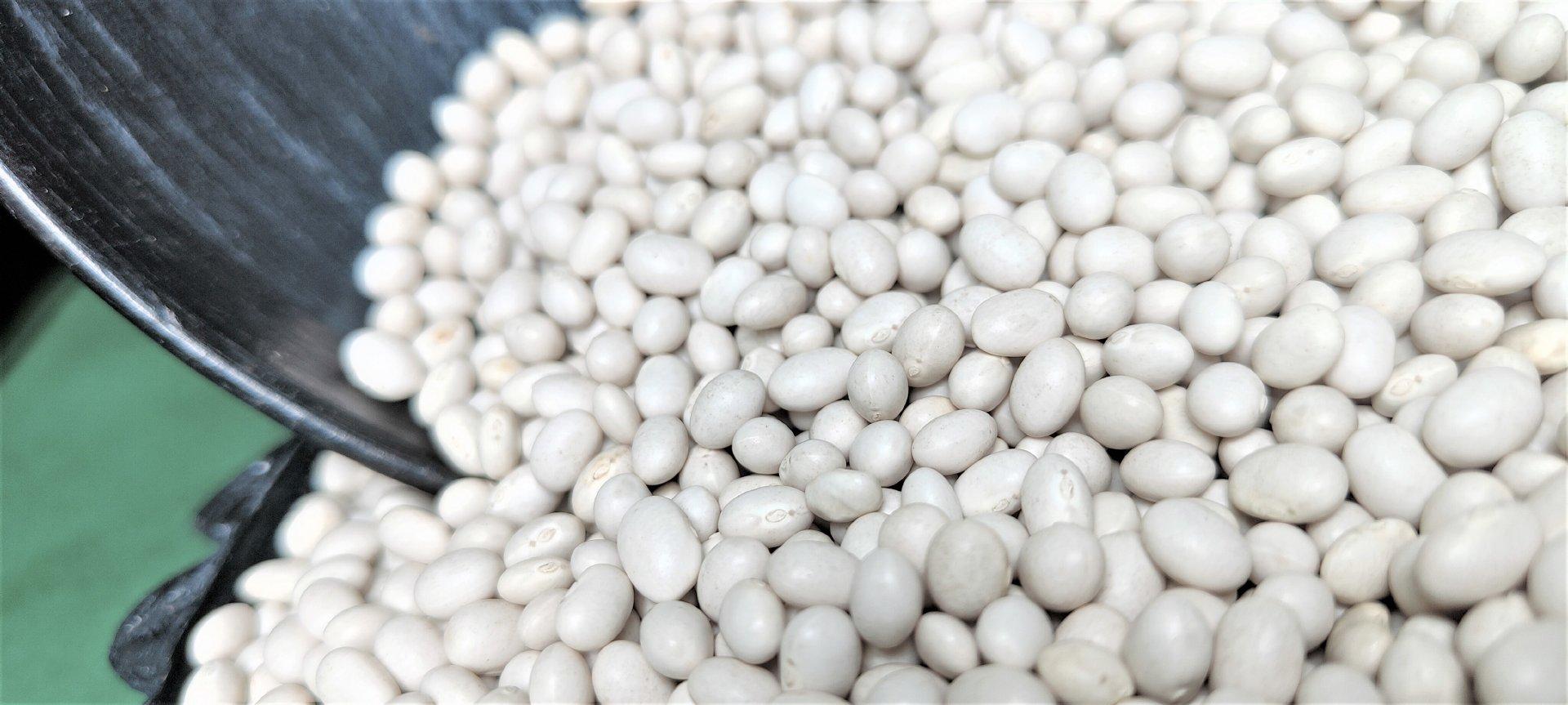 2024 Ethiopian Origin White Pea Beans Hand-Picked Round shape Wholesale Dried New Crop Available in Bulk Quantity