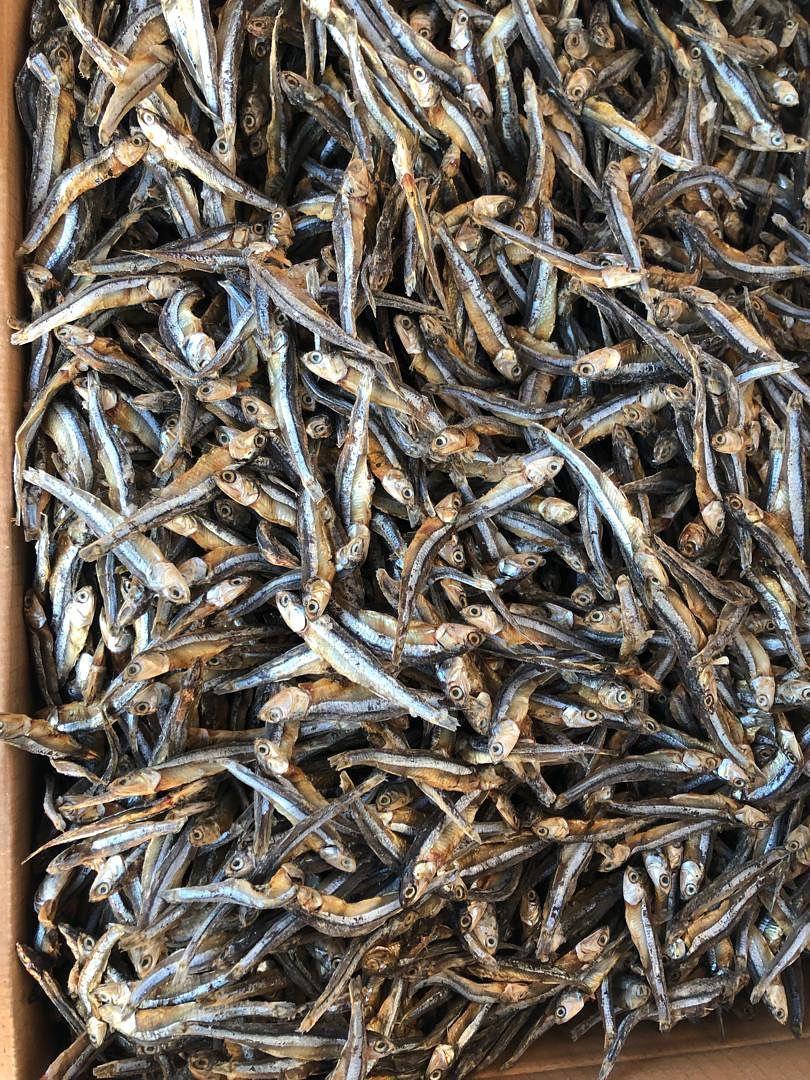 Top Grade Dried Anchovy