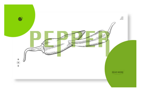 Your Expert Guide to Procuring Top-Tier Pepper: Top 10 Pepper Suppliers in China in Week 06 of 2025