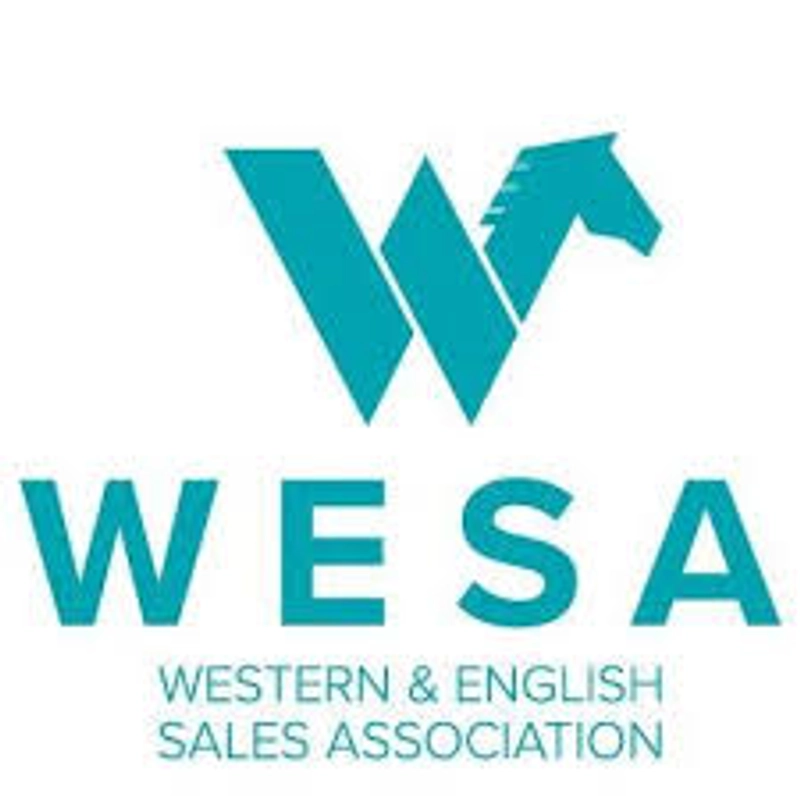 Inside WESA Trade Show: B2B Key Insights