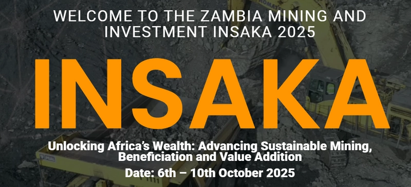 Discover Insaka Summit: B2B Event Guide