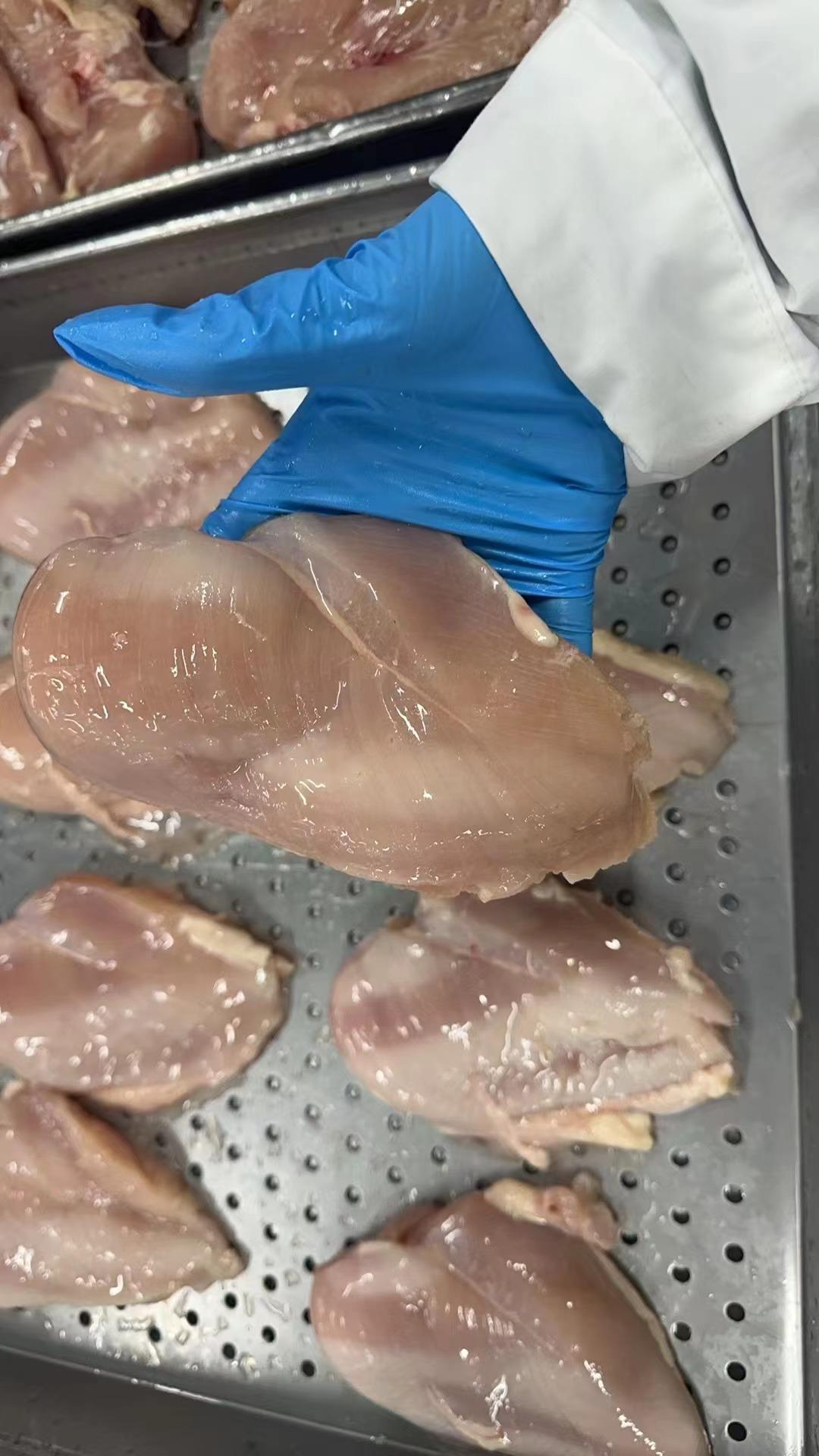 frozen chichken  boneless breaest