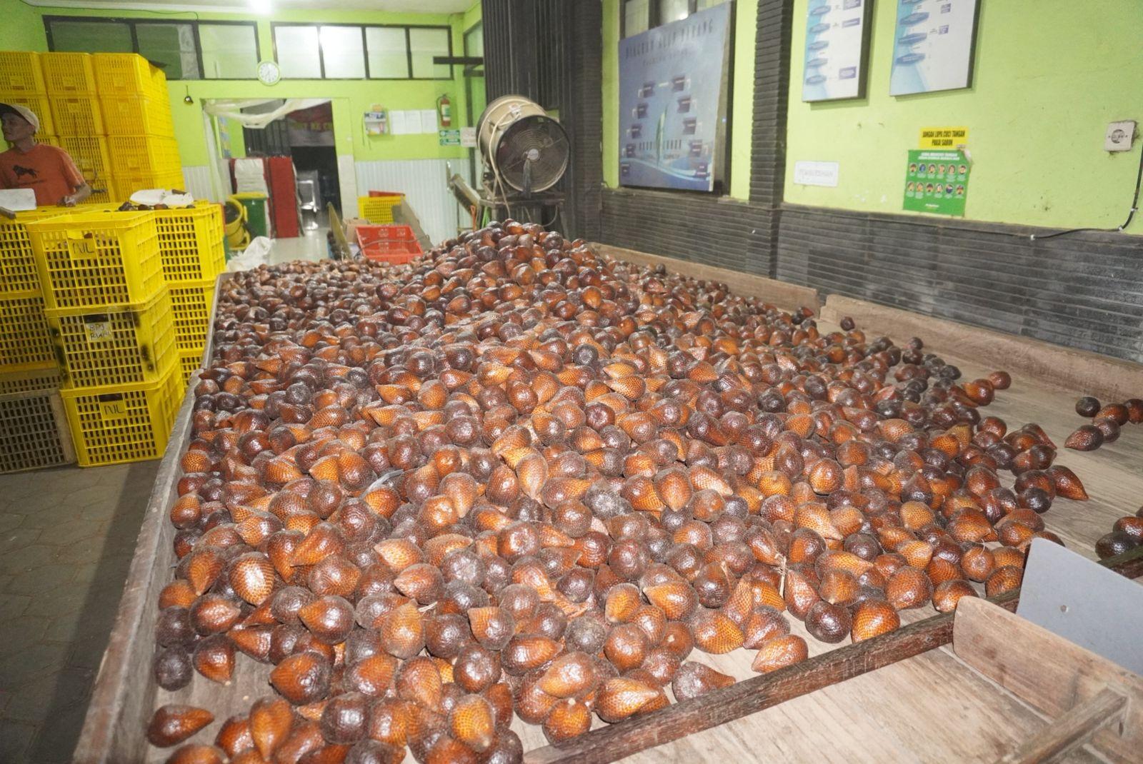Salak Pondoh in basket