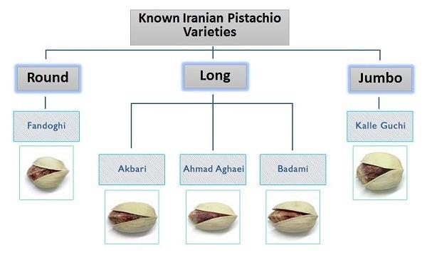Shelled Pistachios