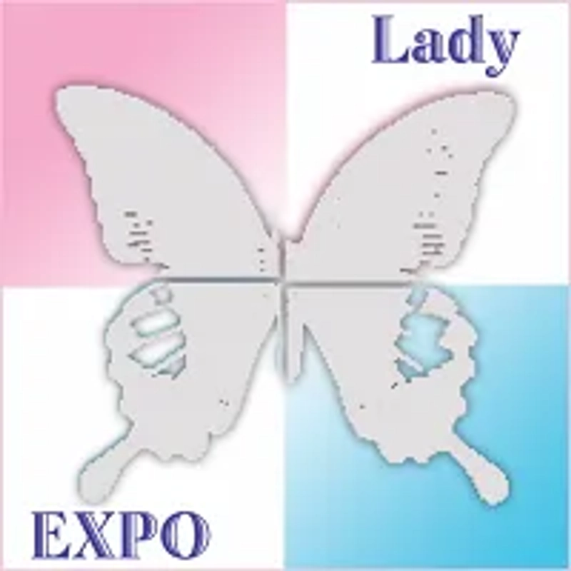 Why Lady Expo Matters for B2B