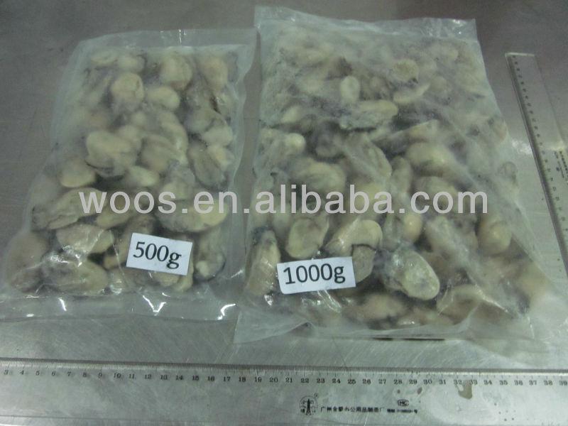 frozen oyster meat without shell