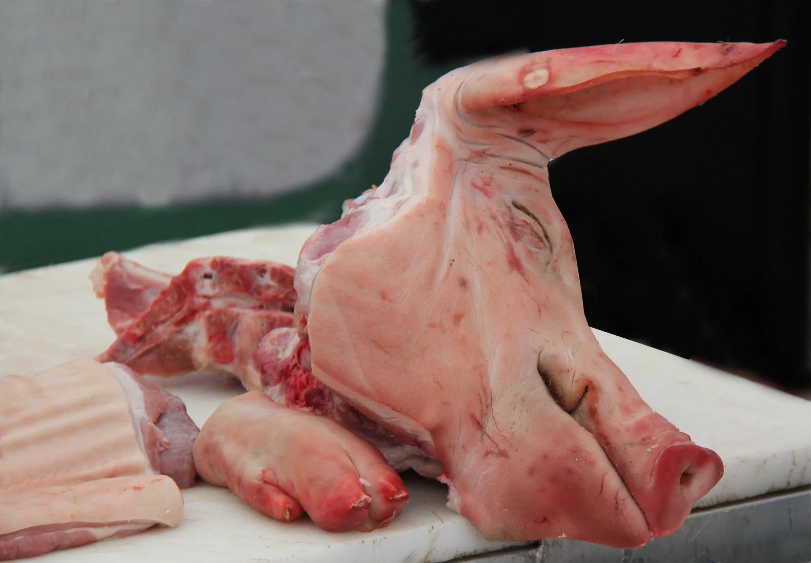 Top Grade Frozen Pork Head Ready For Commercial Kitchen Use Carefully Processed Pork Head