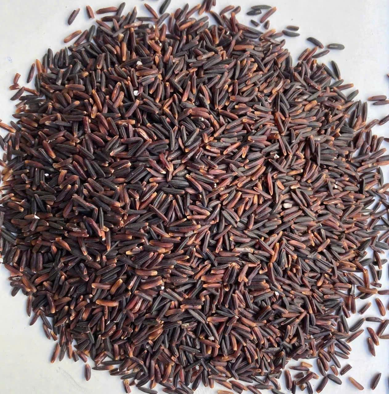 Purple Rice – Premium Vietnamese Super Grain