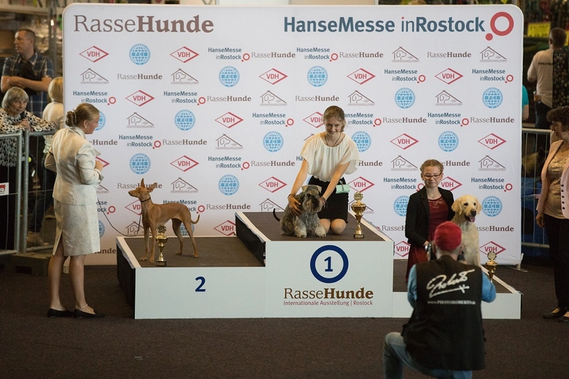 Discover INTERNATIONALE RASSEHUNDEAUSSTELLUNG: B2B Event Guide - 1