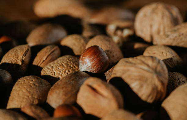 Top 3 Nut Suppliers in Brazil in Year 2025: A Data-Driven Look into Brazil’s Nut Export Market