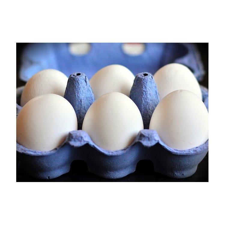 Fresh Chicken Table Eggs/Fresh Chicken Hatching Eggs At Good Prices Farm Fresh Chicken Table Eggs