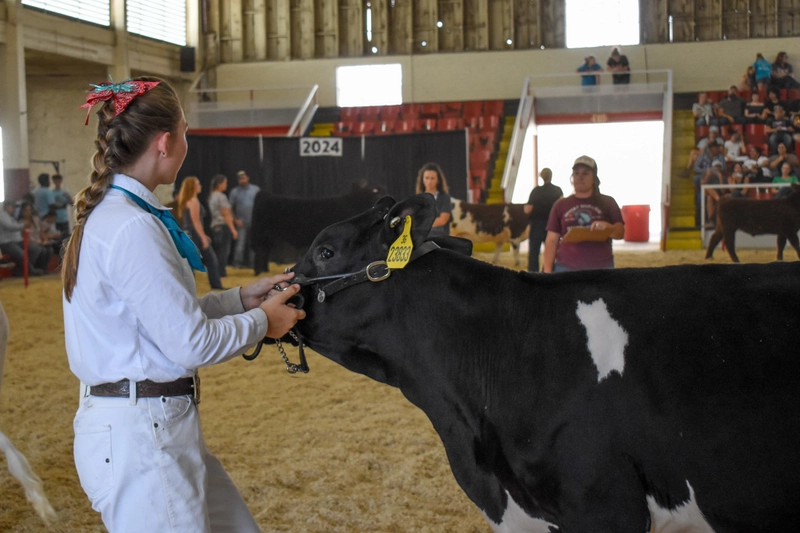 Arizona National Livestock Show Revealed: B2B Opportunity - 1