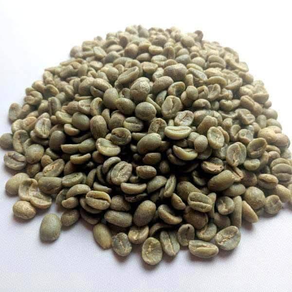 Premium Green Coffee Beans 3