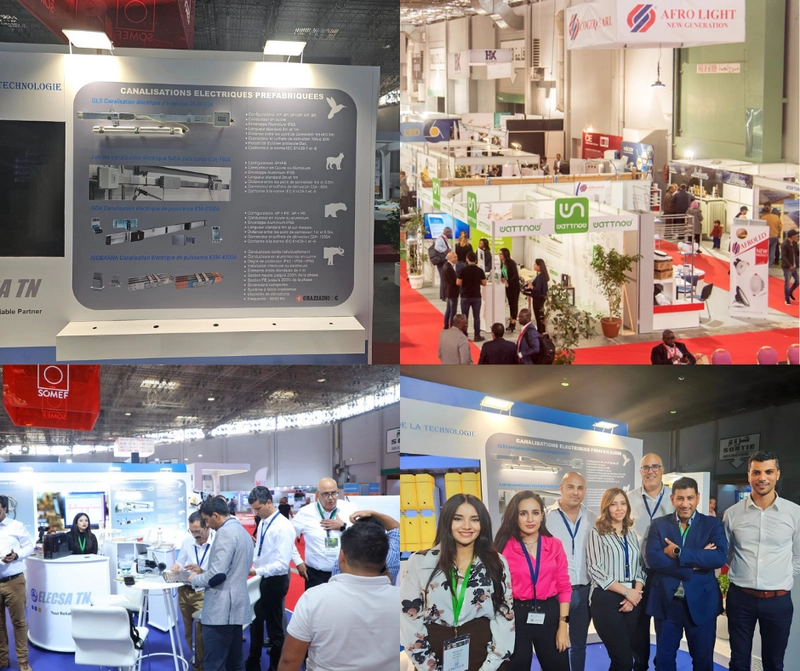 Why Electricity and Renewable Energies Exhibition(ELEK ENER) Matters for B2B - 1