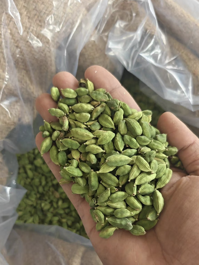 Reliable Supply Green Cardomom Pods Exceptional Aroma Export Quality Vibrant Green Cardamom Spices 7mm-9mm