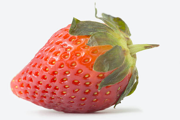 Top 8 Strawberry Suppliers in Thailand in Quarter 3 of 2025