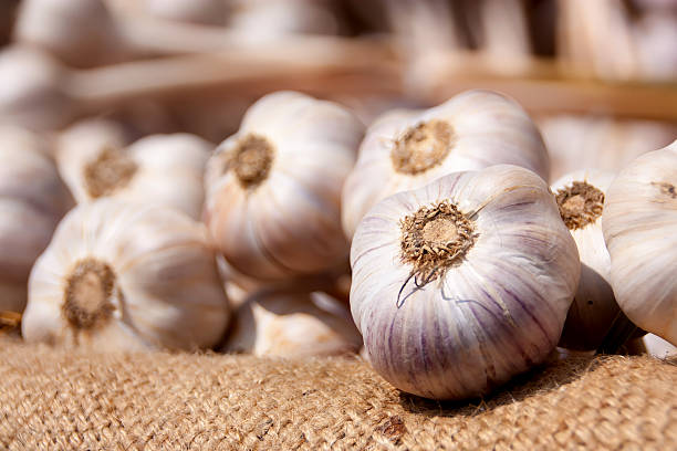 Top 3 Garlic Suppliers in Turkey in Year 2025: A Data-Driven Look at Turkey’s Garlic Export Powerhouse