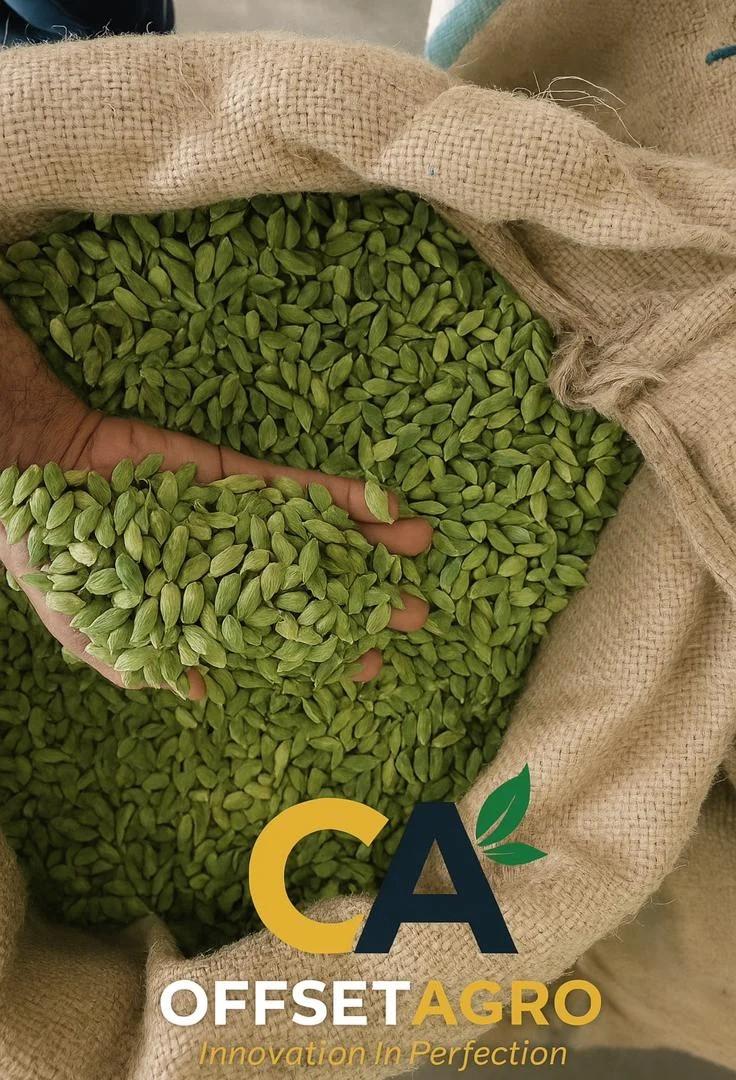 Green Cardamom