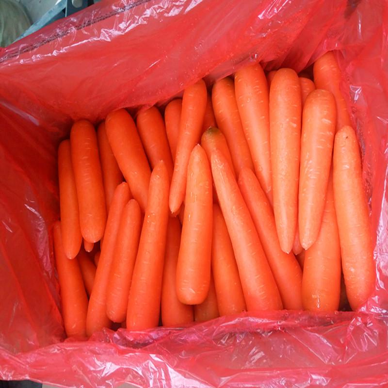 Top 4 Fresh Vegetables suppliers in China - 5
