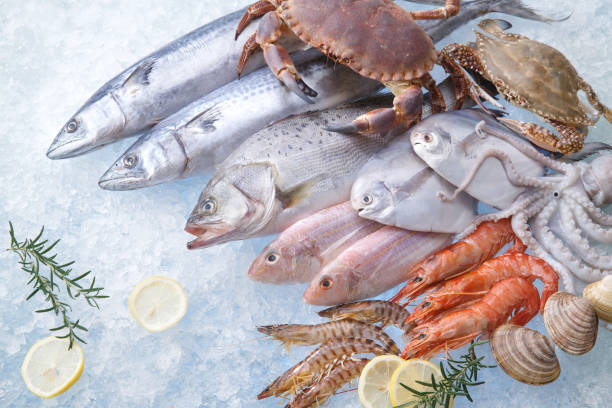 Seafood in Belgium: Top 4 Seafood Suppliers in Belgium in August 2025