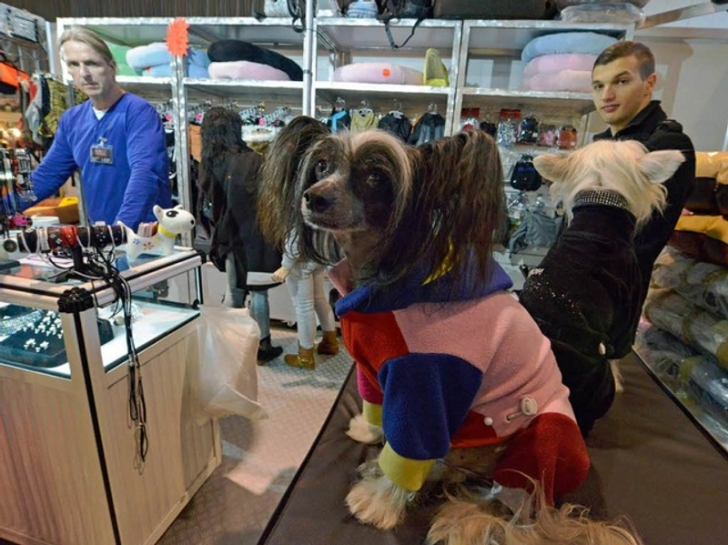 Why MEIN HUND - FREIBURG Matters for B2B - 3