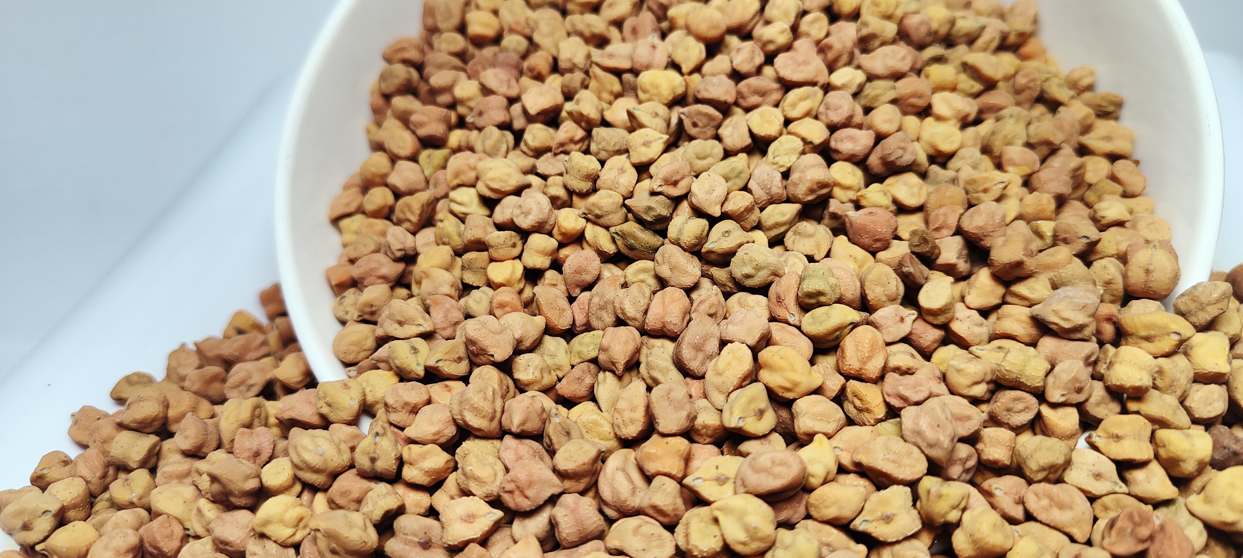 2024 New Crop Ethiopian Origin Desi Chickpeas Premium Quality Bulk Dried Machine Cleaned and Polished Kabuli Type