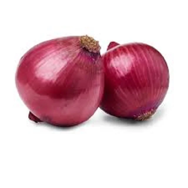 Export Quality Yellow Onion – Affordable Bulk Supply Fresh Harvest Yellow Onion – Wholesale Market Supply
