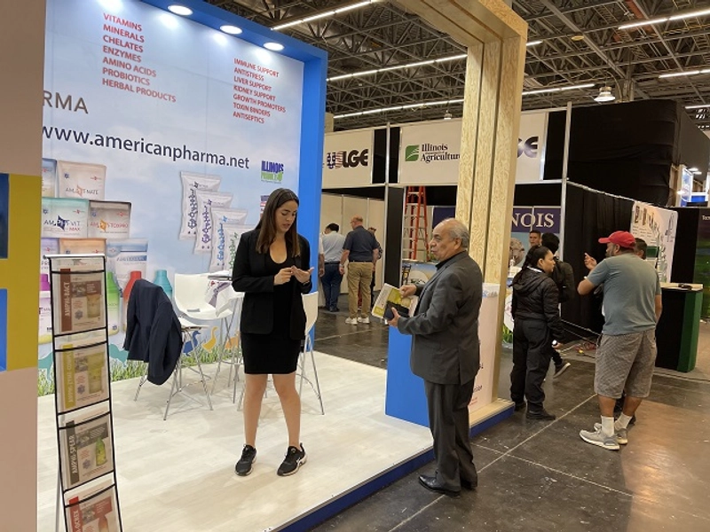 FIGAP Mexico Spotlight: B2B Essentials - 3
