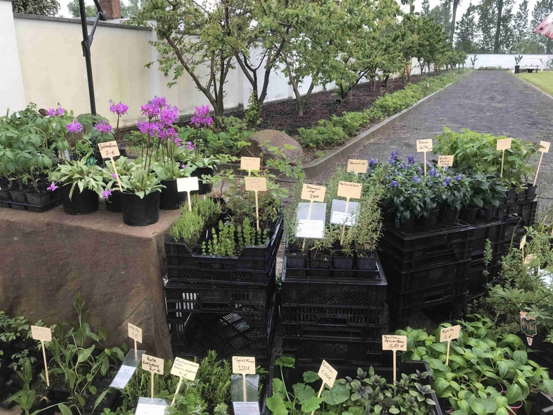 Why Attend BA GA Bahrendorf Garden Fair? B2B Intro - 1