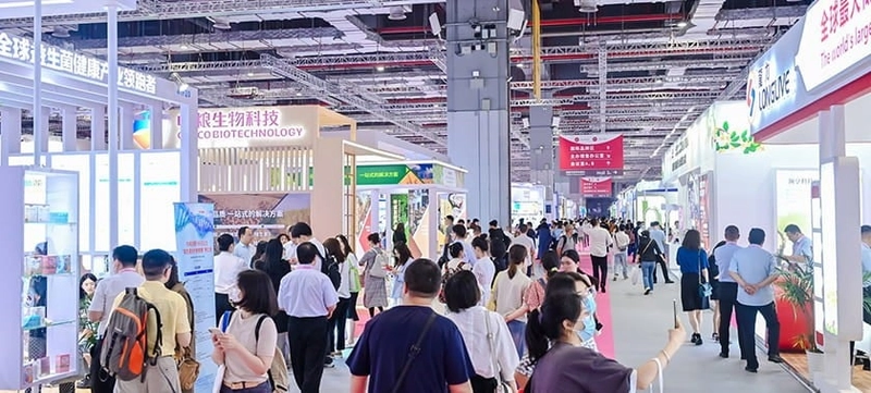Hi & Fi Asia-China Revealed: B2B Opportunity - 2