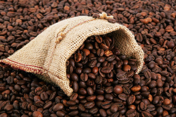 Top 4 Coffee Suppliers in China in November 2025: A Data-Driven Look at China’s Coffee Export Market