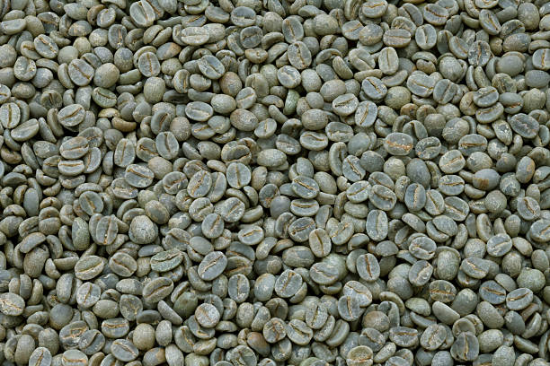 Your Expert Guide to Procuring Top-Tier Green Coffee: Top 3 Green Coffee Suppliers in Ukraine in September 2025