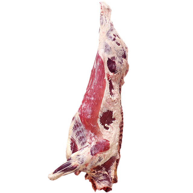 Good Quality Beef Carcass