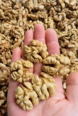 185 Walnuts Image 3