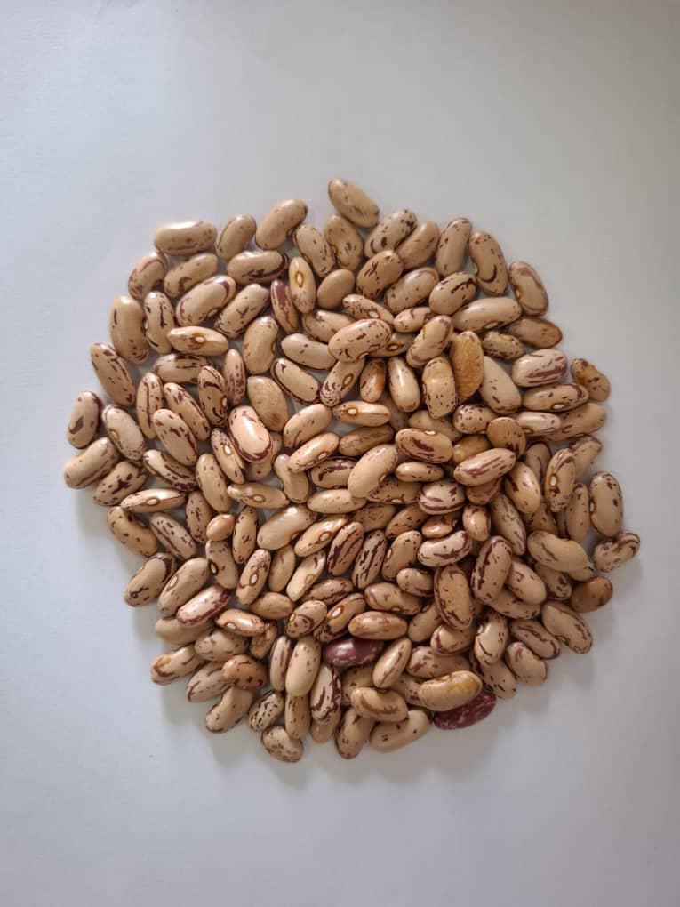 Premium Red Speckled Kidney Beans Wholesale Bulk Supply Export Quality for Retail and Global Buyers