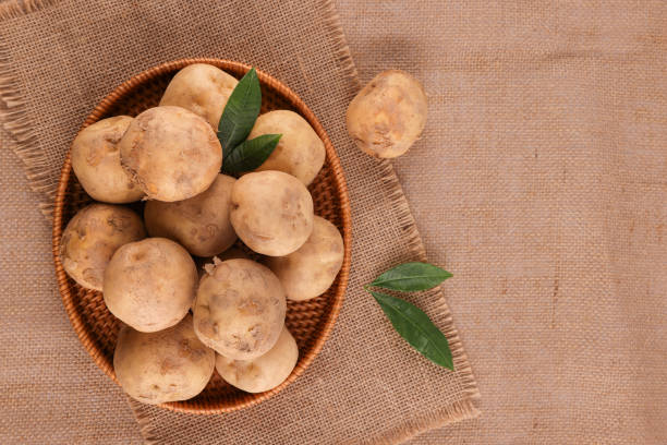 A Comprehensive Guide to Sourcing High-Quality Fresh Potato: Top 5 Fresh Potato Suppliers in Vietnam in Quarter 3 of 2025