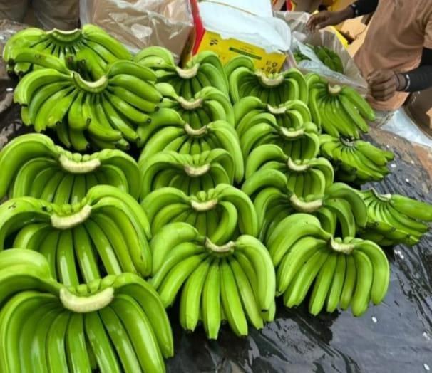 BANANA Packaging
