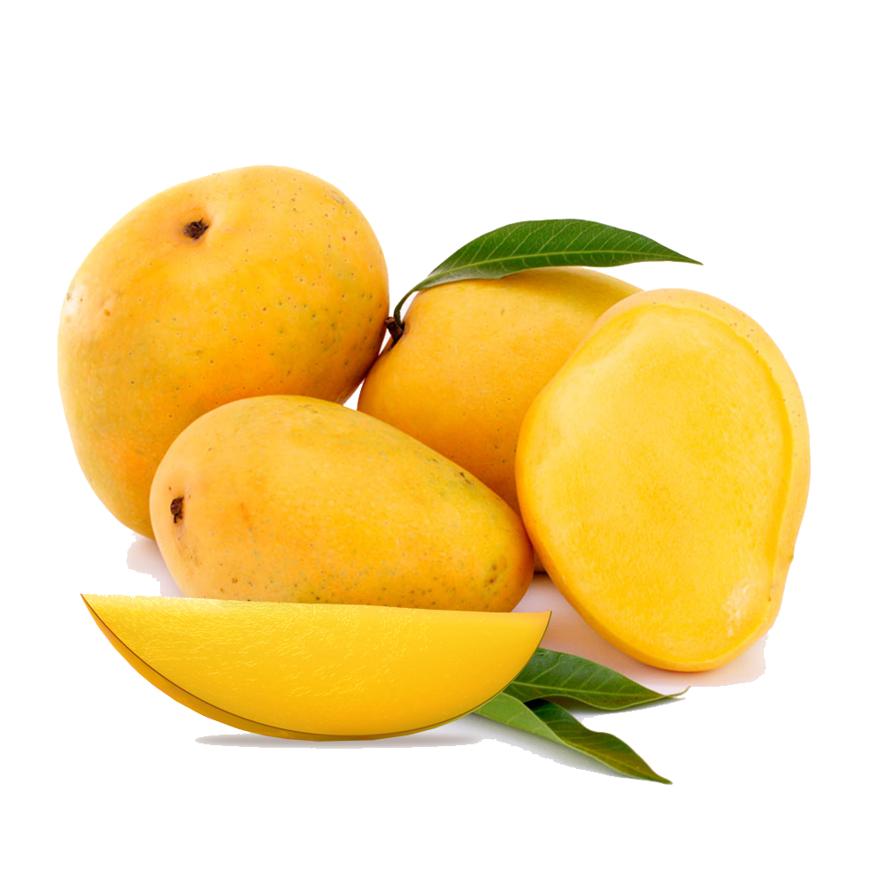 indian Fresh mango Organic Yes Origin India Grade A Grade Pulp Texture Smooth Size Range 200g – 350g Degree Of Maturity Mature
