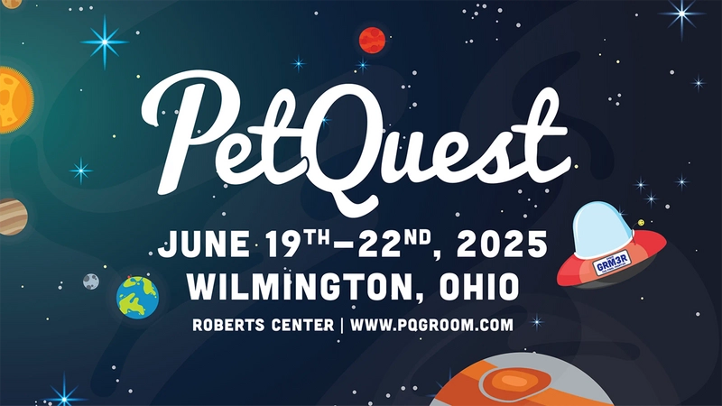 Why Pet Quest Matters for B2B