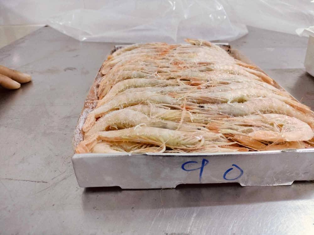 PREMIUM SEAFOOD QUALITY Red Shrimp (Pleoticus muelleri) Wild Caught, Sea Frozen (HOSO) L1 (10–20 ppk) ON SALE