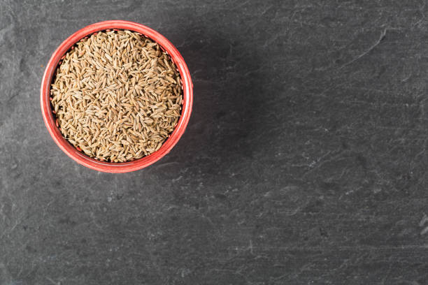 Top 4 Cumin Seeds Suppliers in India in Year 2025: Urgent Market Update