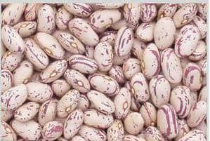 Green Mung Beans 2