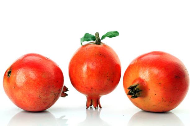 Your Expert Guide to Procuring Top-Tier Pomegranate: Top 8 Pomegranate Suppliers in Italy in Year 2025